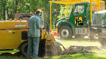 Lakeland Stump Grinding